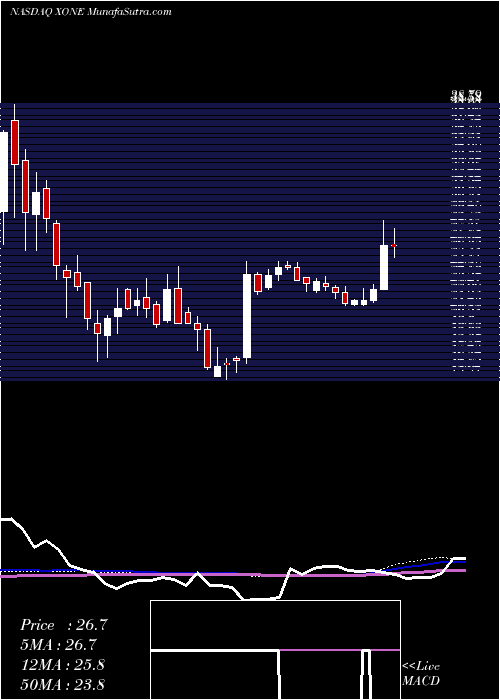  weekly chart ExoneCompany