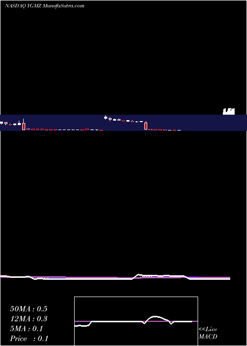  Daily chart MingzhuLogistics