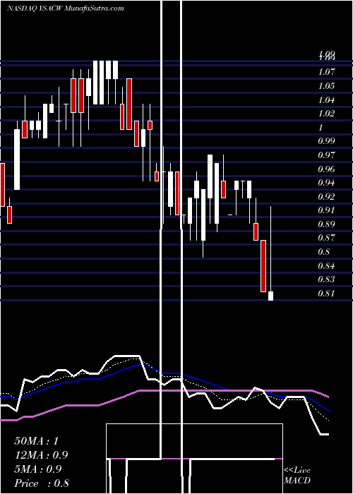  Daily chart YellowstoneAcquisition