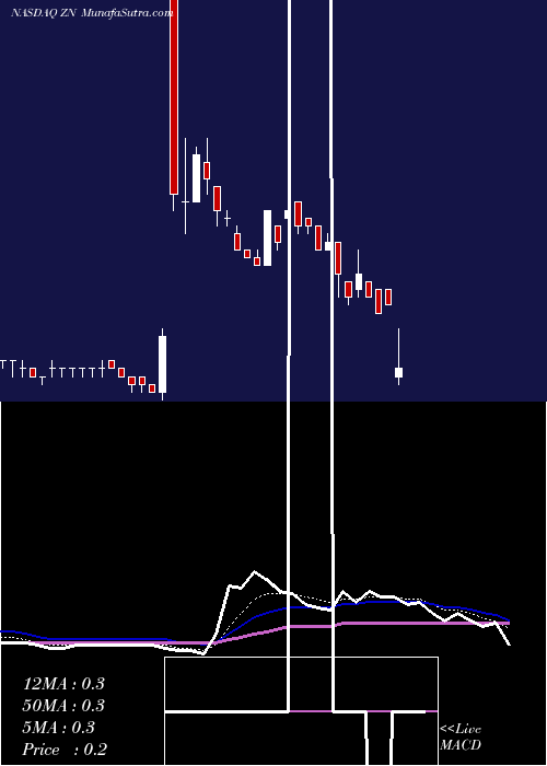  Daily chart Zion Oil & Gas Inc