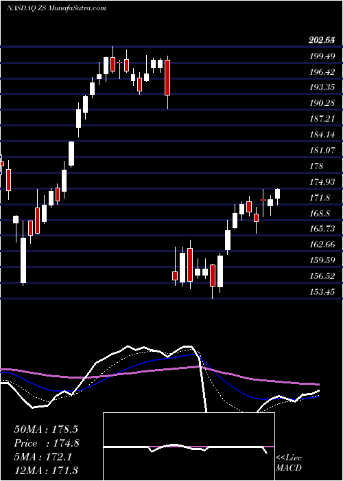  Daily chart ZscalerInc