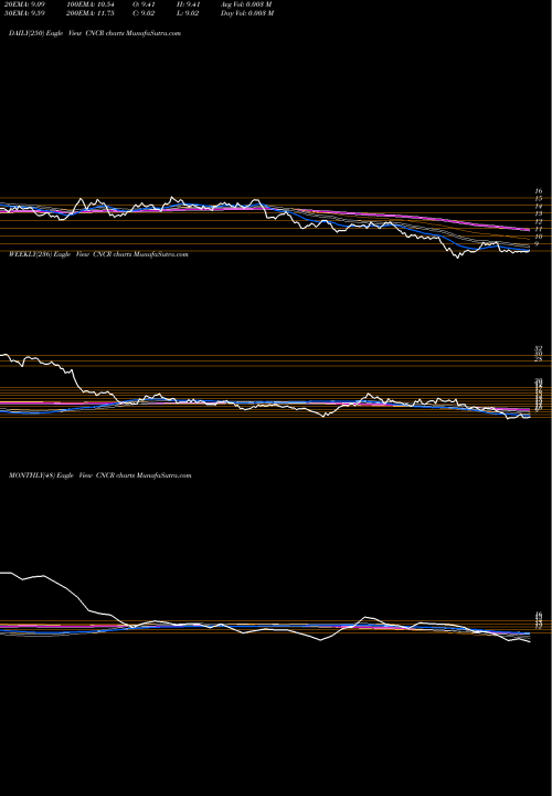 Trend of Loncar Cancer CNCR TrendLines Loncar Cancer Immunotherapy ETF CNCR share NASDAQ Stock Exchange 