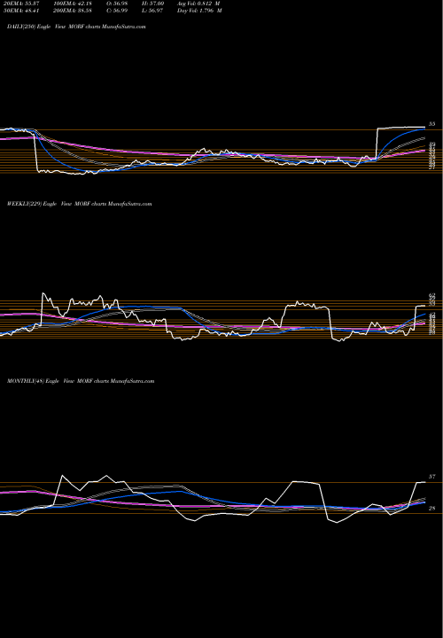 Trend of Morphic Holding MORF TrendLines Morphic Holding Inc MORF share NASDAQ Stock Exchange 