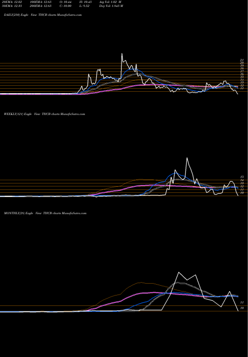 Trend of Tuscan Holdings THCB TrendLines Tuscan Holdings Corp THCB share NASDAQ Stock Exchange 