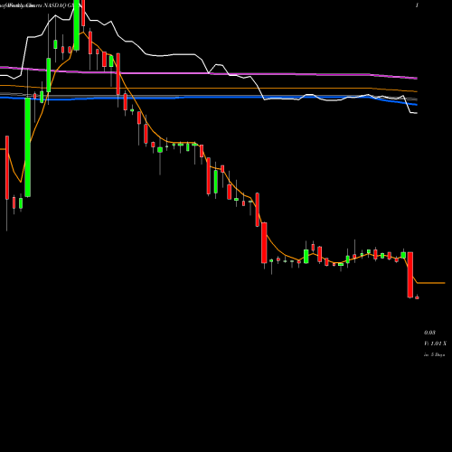 Weekly charts share GMDA Gamida Cell Ltd. NASDAQ Stock exchange 