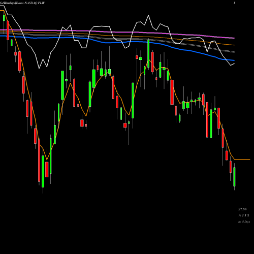 Weekly charts share PLW Invesco 1-30 Laddered Treasury ETF NASDAQ Stock exchange 