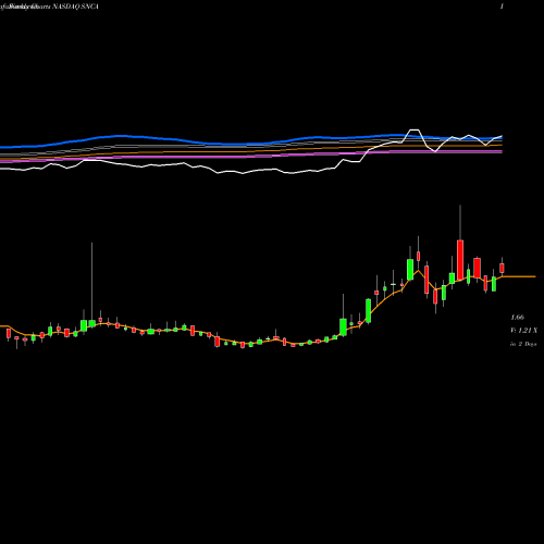 Weekly charts share SNCA Seneca Biopharm Inc NASDAQ Stock exchange 