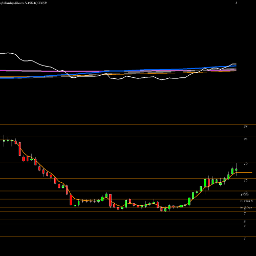 Weekly charts share XNCR Xencor, Inc. NASDAQ Stock exchange 
