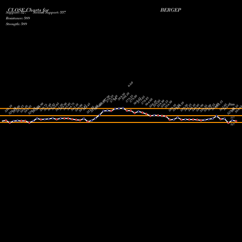 Berger Paints (BERGEPAINT) forecast target analysis (Buy Sell