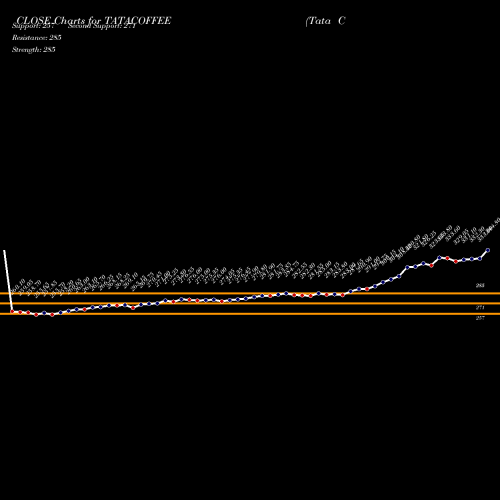 Tata coffee share price forecast