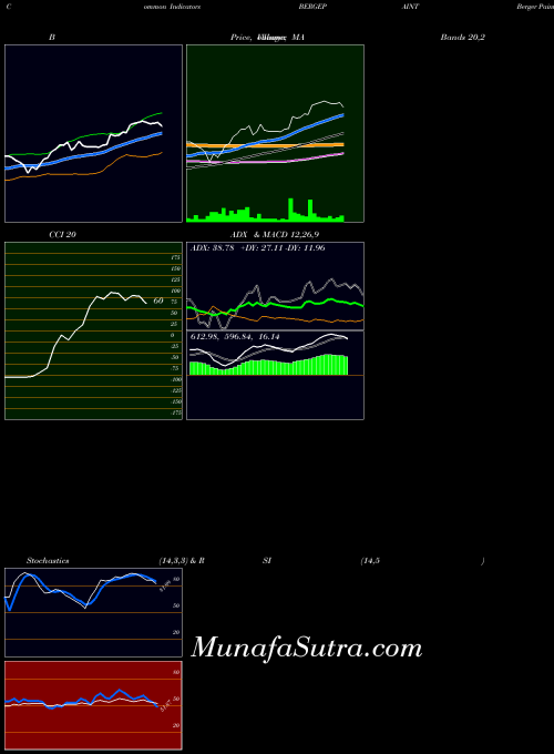 Berger Paints indicators chart 