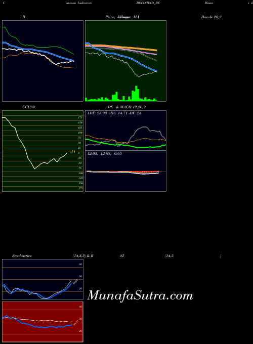 Binani Industries indicators chart 