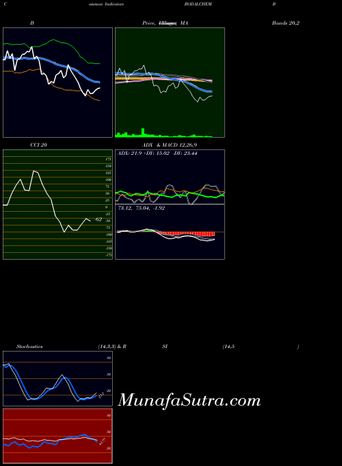 Bodal Chemicals indicators chart 