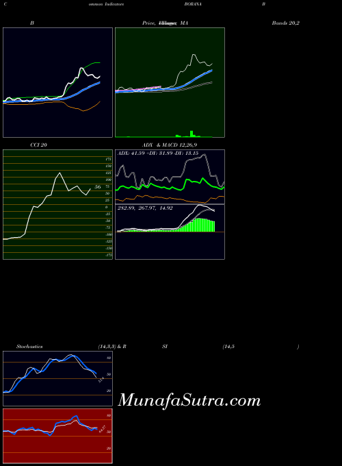 Borana Weaves indicators chart 