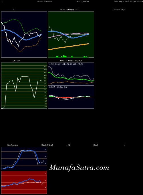 Birla Sun indicators chart 