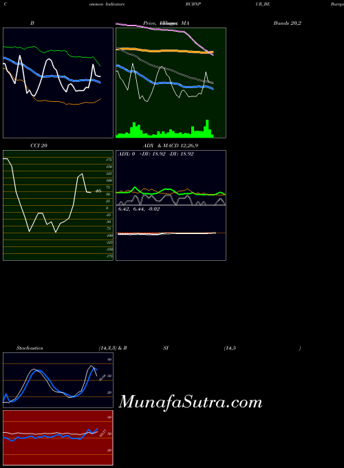 Burnpur Cement indicators chart 