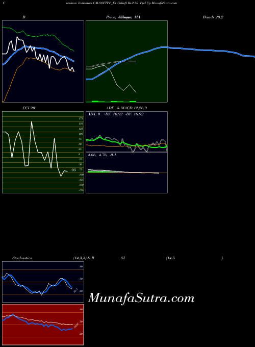 Calsoft Rs indicators chart 