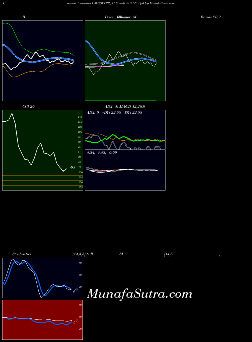 Calsoft Rs indicators chart 