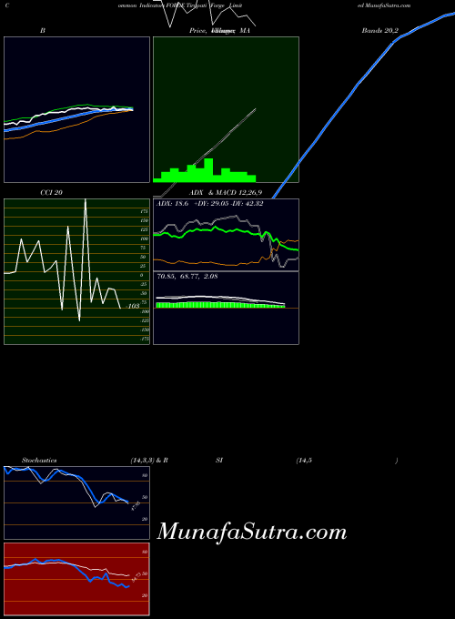 Tirupati Forge indicators chart 