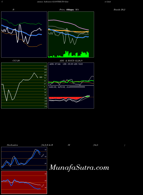Gloster indicators chart 