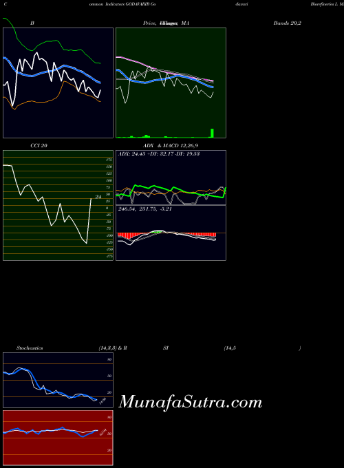 Godavari Biorefineries indicators chart 