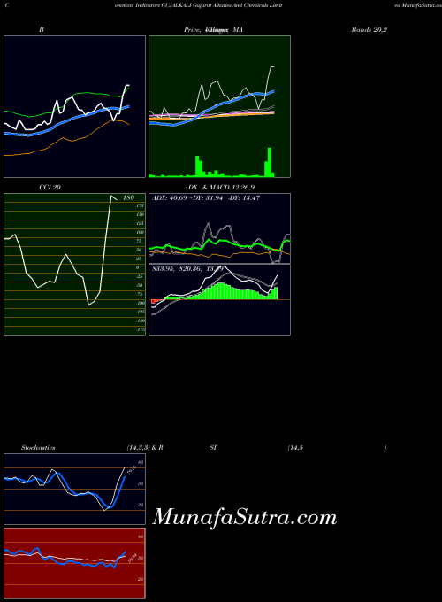 Gujarat Alkalies indicators chart 