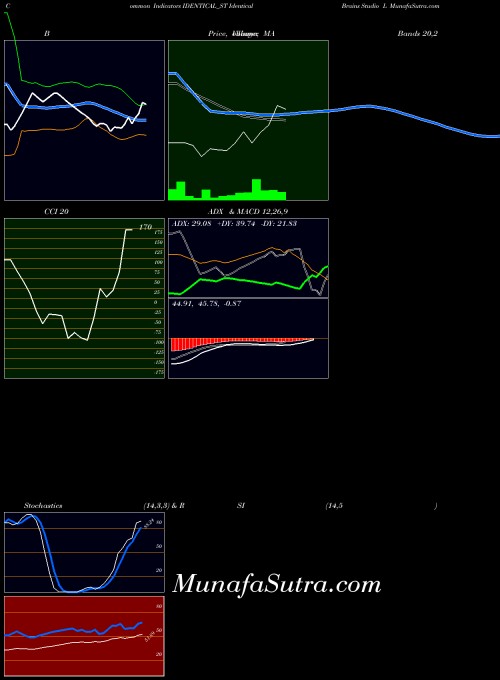 Identical Brains indicators chart 
