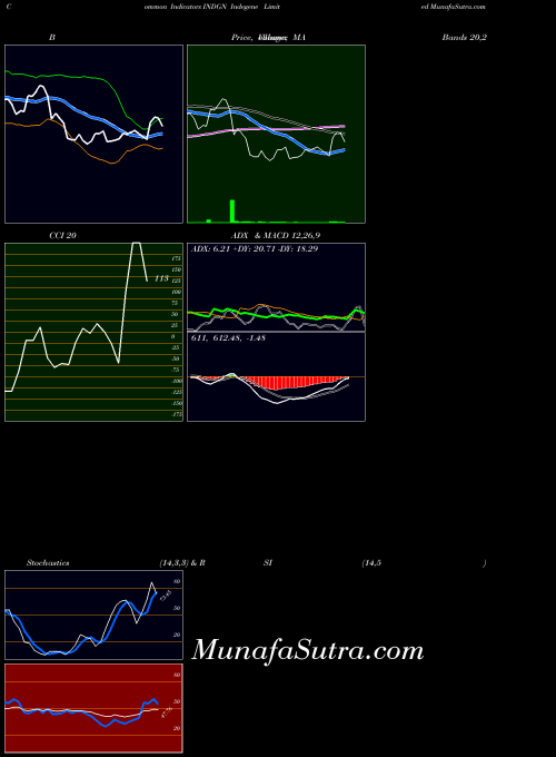 Indegene indicators chart 