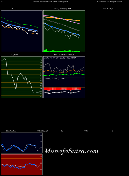 Megatherm Induction indicators chart 