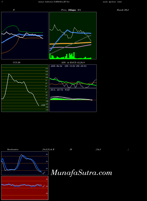 Narmada Agrobase indicators chart 