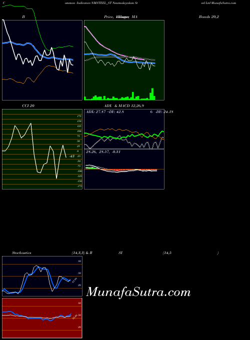 Newmalayalam Steel indicators chart 