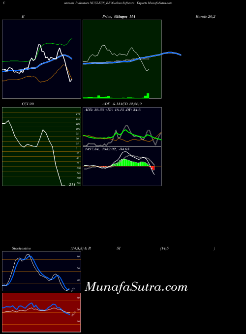Nucleus Software indicators chart 