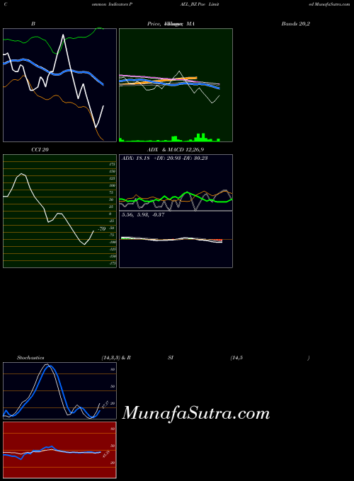 Pae indicators chart 