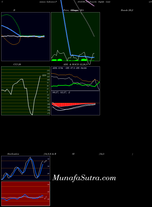 Panache Digilife indicators chart 