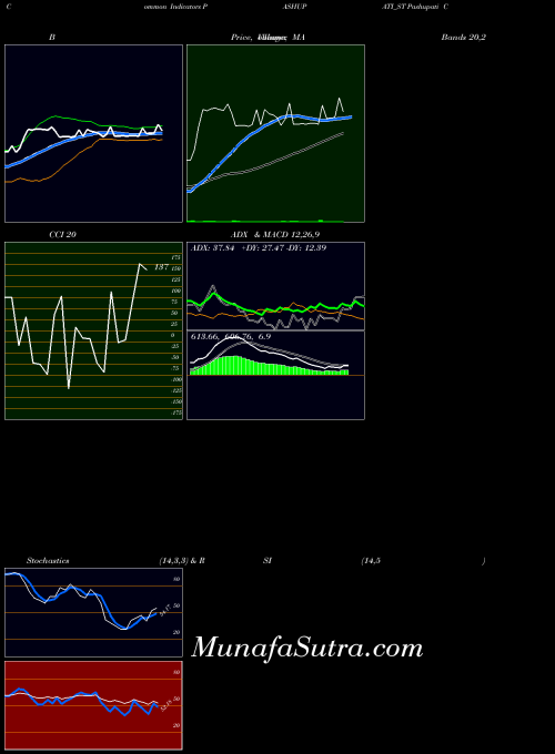 Pashupati Cotspin indicators chart 