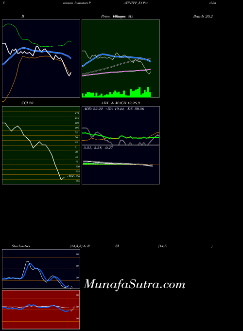 Patel Inte indicators chart 