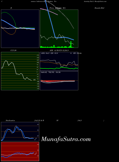 Raghav Productivity indicators chart 