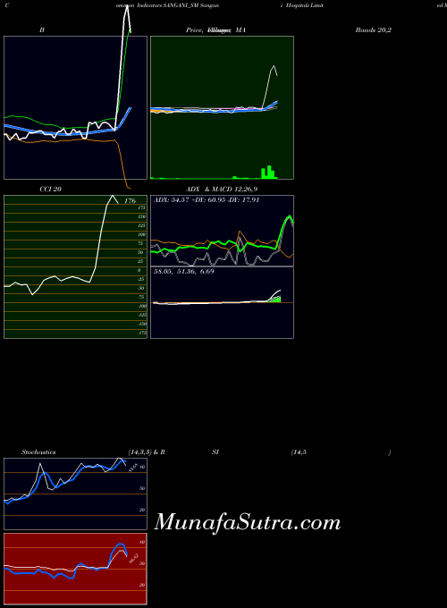 Sangani Hospitals indicators chart 