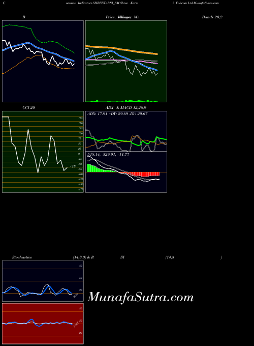 Shree Karni indicators chart 