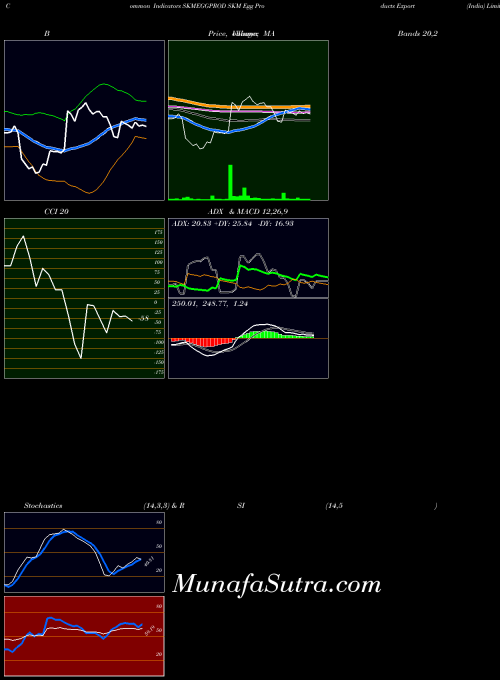 NSE SKM Egg Products Export (India) Limited SKMEGGPROD All indicator, SKM Egg Products Export (India) Limited SKMEGGPROD indicators All technical analysis, SKM Egg Products Export (India) Limited SKMEGGPROD indicators All free charts, SKM Egg Products Export (India) Limited SKMEGGPROD indicators All historical values NSE