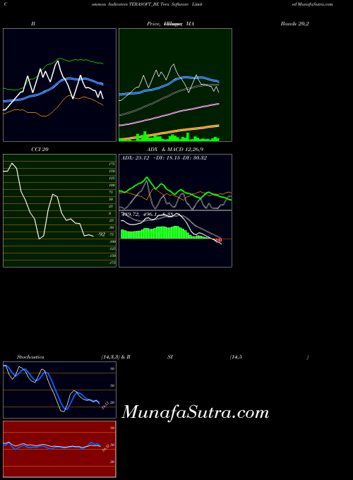 Tera Software indicators chart 
