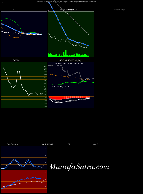 Trigyn Technologies indicators chart 