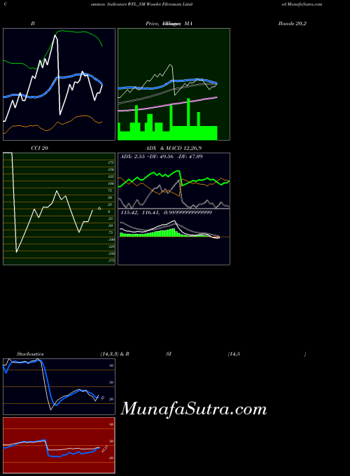 Wonder Fibromats indicators chart 