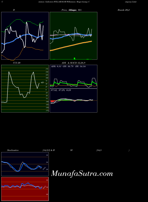 Williamson Magor indicators chart 