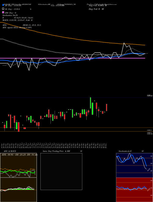 Tax Free 7.69% Sr. Iib 769NHAI31_NE Support Resistance charts Tax Free 7.69% Sr. Iib 769NHAI31_NE NSE