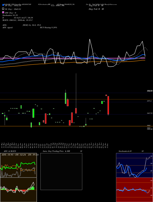 Sec Re Ncd 9.56% Sr Vi 956AEL29_N6 Support Resistance charts Sec Re Ncd 9.56% Sr Vi 956AEL29_N6 NSE