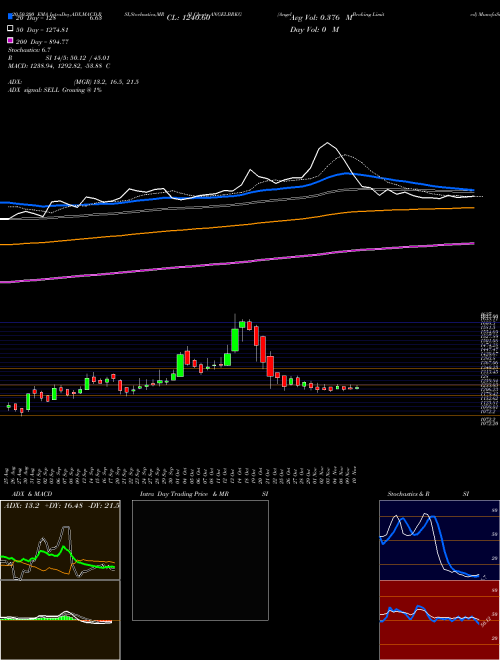 Angel Broking Limited ANGELBRKG Support Resistance charts Angel Broking Limited ANGELBRKG NSE