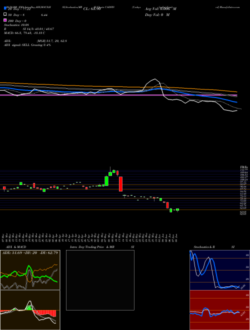 Cadsys (india) Limited CADSYS Support Resistance charts Cadsys (india) Limited CADSYS NSE