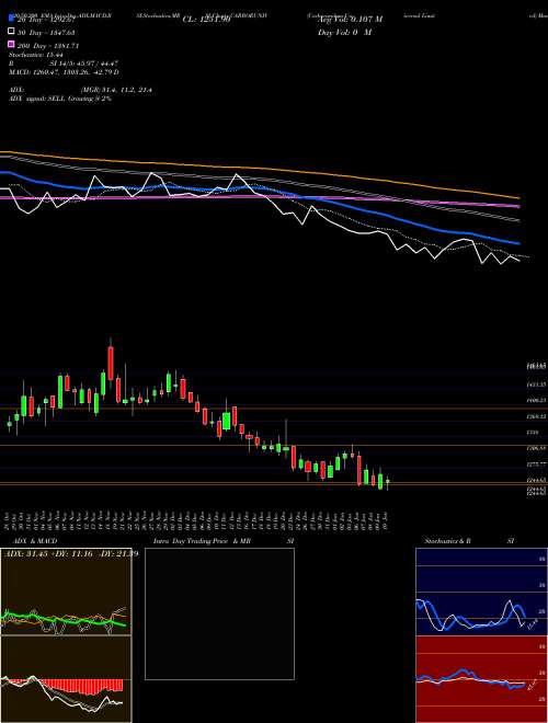 Carborundum Universal Limited CARBORUNIV Support Resistance charts Carborundum Universal Limited CARBORUNIV NSE