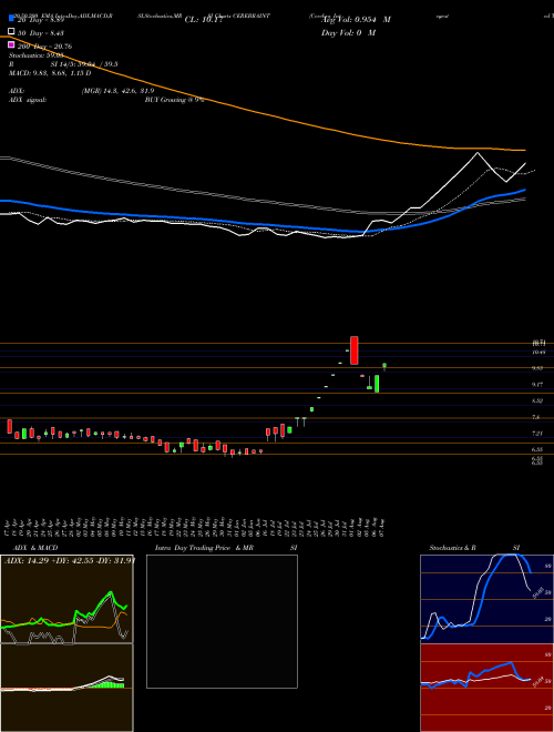 Cerebra Integrated Technologies Limited CEREBRAINT Support Resistance charts Cerebra Integrated Technologies Limited CEREBRAINT NSE